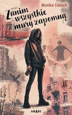 Zanim wszystkie mury zapomną - Monika Cieluch