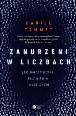 Zanurzeni w liczbach Jak matematyka kształtuje nasze życie - Daniel Tammet