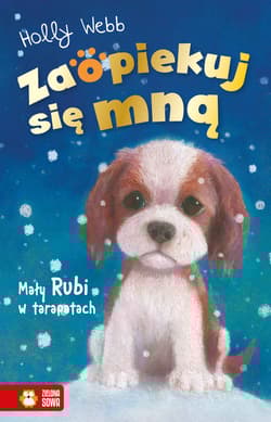 Zaopiekuj się mną Mały Rubi w tarapatach - Holly Webb