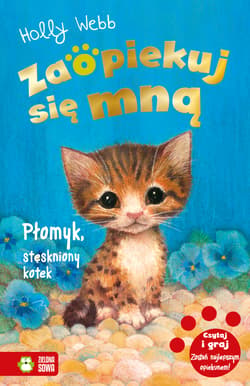 Zaopiekuj się mną Płomyk stęskniony kotek - Holly Webb