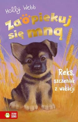 Zaopiekuj się mną Reks, szczeniak z wakacji - Holly Webb
