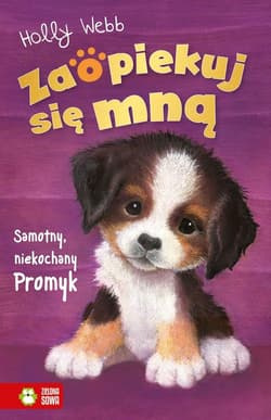 Zaopiekuj się mną Samotny, niekochany Promyk - Holly Webb