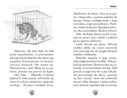 Galeria - zdjęcie nr. 3 - Zaopiekuj się mną. Tobi, nieustraszony psiak