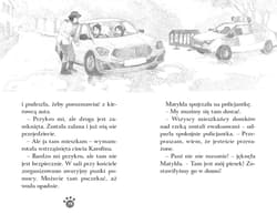 Galeria - zdjęcie nr. 4 - Zaopiekuj się mną. Tobi, nieustraszony psiak