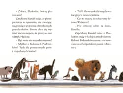 Galeria - zdjęcie nr. 5 - Zapchlony kundel na plaży