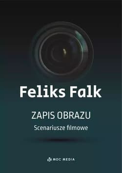 Zapis obrazu. Scenariusze filmowe - Feliks Falk