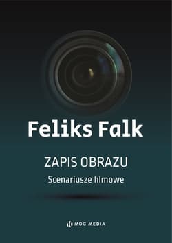 Zapis obrazu. Scenariusze filmowe - Feliks Falk