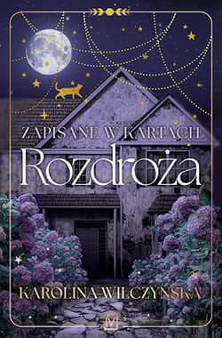 Zapisane w kartach. Rozdroża - Karolina Wilczyńska