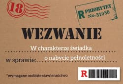 Zaproszenie Urodziny Osiemnastka ZA-104 (10szt.)