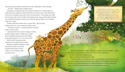 Galeria - zdjęcie nr. 3 - Zarafa. Żyrafa, o której usłyszał świat