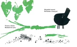 Galeria - zdjęcie nr. 2 - Żarłoczny koziołek