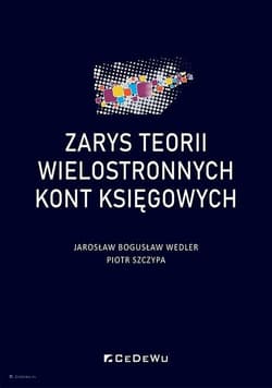 Zarys teorii wielostronnych kont księgowych - Jarosław Bogusław Wedler