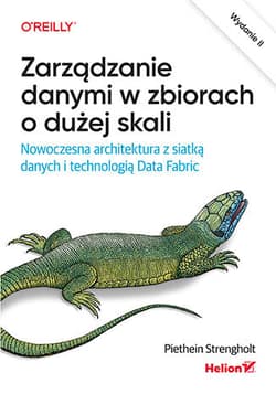 Zarządzanie danymi w zbiorach o dużej skali. Nowoczesna architektura z siatką danych i technologią Data Fabric wyd. 2 - Piethein Strengholt