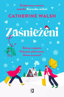 Zaśnieżeni - ebook - Catherine Walsh