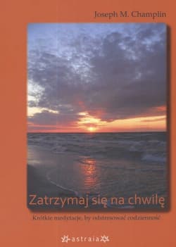 Zatrzymaj się na chwilę Krótkie medytacje by odstresować codzienność - Champlin Joseph M.