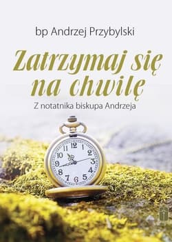 Zatrzymaj się na chwilę. Z notatnika biskupa... - Andrzej Przybylski