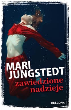 Zawiedzione nadzieje - Jungstedt Mari