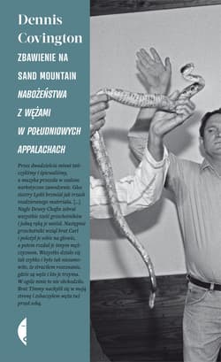 Zbawienie na Sand Mountain - ebook - Dennis Covington