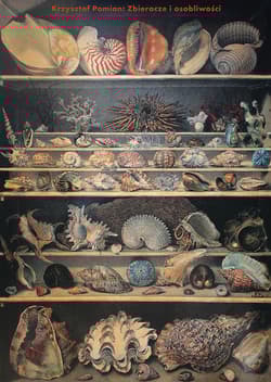 Zbieracze i osobliwości. Paryż-Wenecja XVI-XVIII wiek wyd. 2 - Pomian Krzysztof