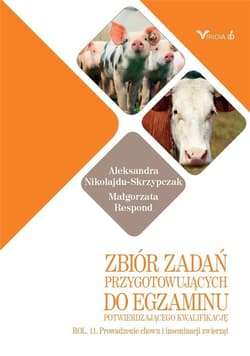 Zbiór zadań przyg. do egz. potw. kwal. ROL. 11. - Małgorzata Respo, Aleksandra Nikolajdu-Skrzypczak