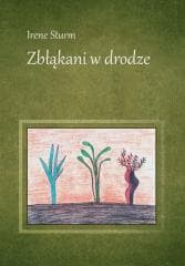 Zbłąkani w drodze - Irene Sturm
