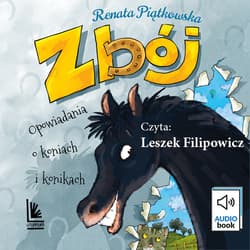 Zbój - audiobook - Renata Piątkowska