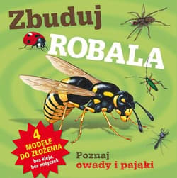 Zbuduj robala
