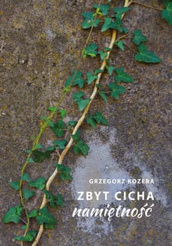 Zbyt cicha namiętność - ebook
