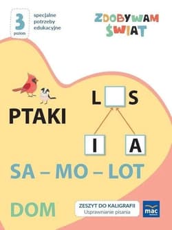 Zdobywam świat Zeszyt do kaligrafii Poziom 3 - Justyna Hadryś