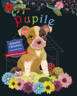 Zdrapuj i koloruj Pupile - praca zbioorwa