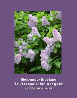 Ze staropolskich anegdot i przypowieści - ebook - Aleksander Bruckner