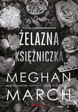 Żelazna księżniczka. Trylogia Nieposkromionych #2 - ebook