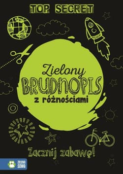 Zielony brudnopis z różnościami