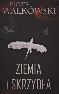 Ziemia i skrzydła - Piotr Wałkówski