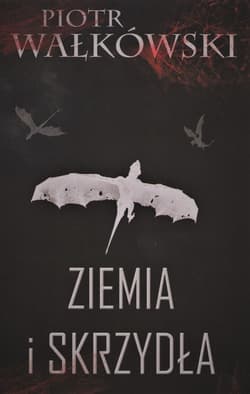 Ziemia i skrzydła - Piotr Wałkówski