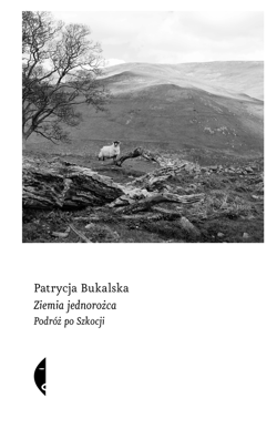 Ziemia jednorożca - ebook - Patrycja Bukalska