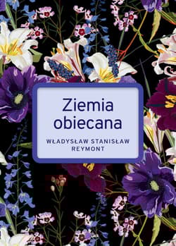 Ziemia Obiecana wyd. specjalne - Reymont Stanisław Władysław