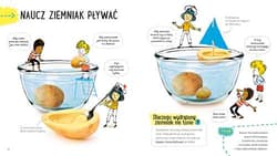 Galeria - zdjęcie nr. 3 - Ziemniak Akademia mądrego dziecka Przygody z nauką