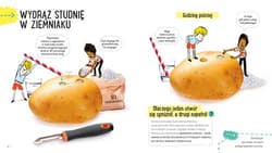Galeria - zdjęcie nr. 4 - Ziemniak Akademia mądrego dziecka Przygody z nauką