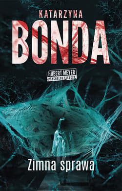 Zimna sprawa - ebook