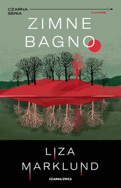 Zimne bagno - ebook - Liza Marklund