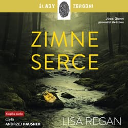 Zimne serce - audiobook - Regan Lisa