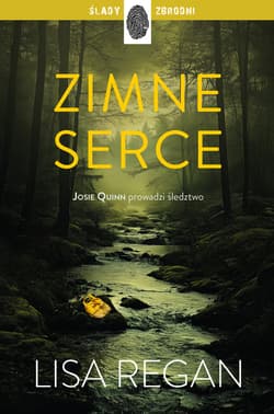 Zimne serce - ebook - Regan Lisa