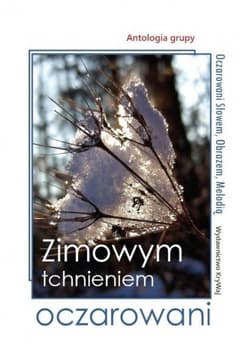 Zimowym tchnieniem oczarowani - Praca zbiorowa
