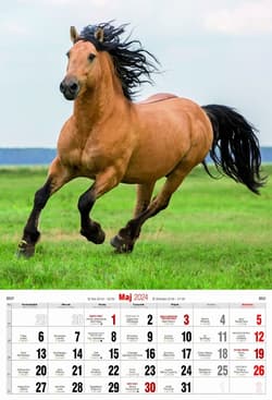 ZIOŁA I MAGIA. Lecznicze i rytualne zastosowania roślin - Lech Tkaczyk