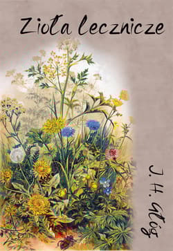 Zioła lecznicze. Botanika okultystyczna, astrologia herbalna, medycyna hermetyczna - J.H. Głóg