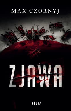 Galeria - zdjęcie nr. 1 - Zjawa