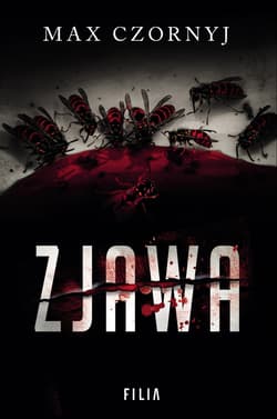 Zjawa wyd. 3 - Max Czornyj