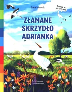 Złamane skrzydło Adrianka - Ewa Nowak