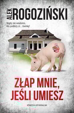 Złap mnie, jeśli umiesz - Alek Rogoziński